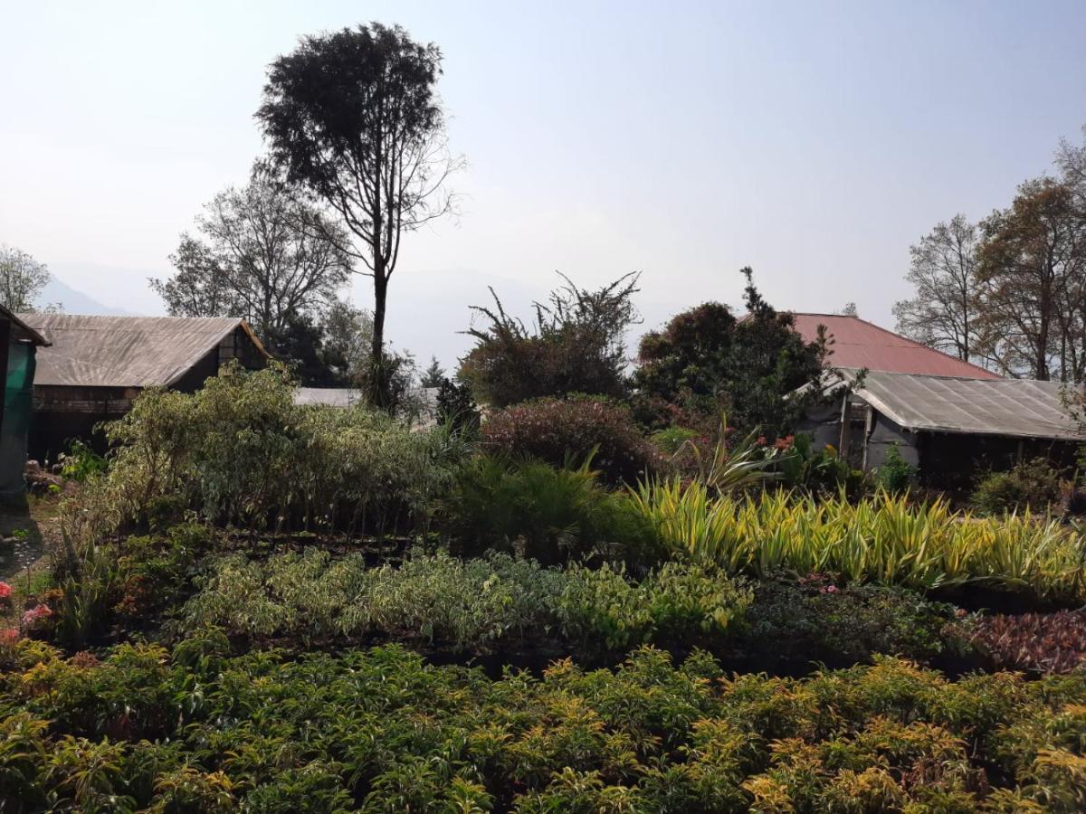 Aaravi Garden Homestay Калимпонг Екстериор снимка